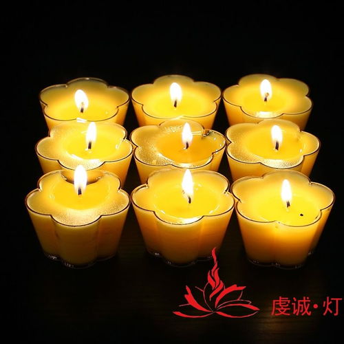 廠家直銷10小時(shí)10粒塑料五葉梅花蠟燭酥油粒無煙酥油燈蠟燭包郵